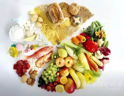 Alimentos recomendados para incluir em sua dieta na off season