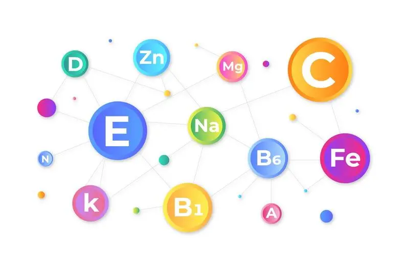 Alimentos vegetais ricos em proteínas: uma alternativa para vegetarianos e veganos