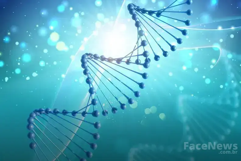 Por que consultar um nutricionista é importante ao fazer uma dieta hipocalórica