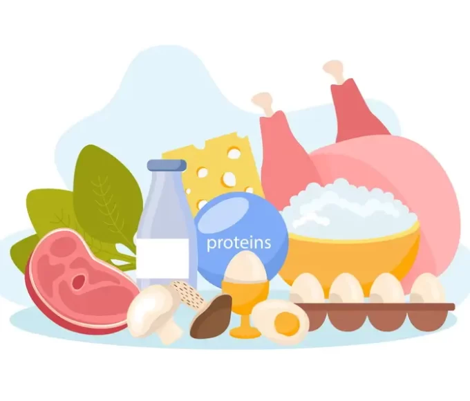 Receitas Fitness para Emagrecer: Sabores que Ajudam na Dieta