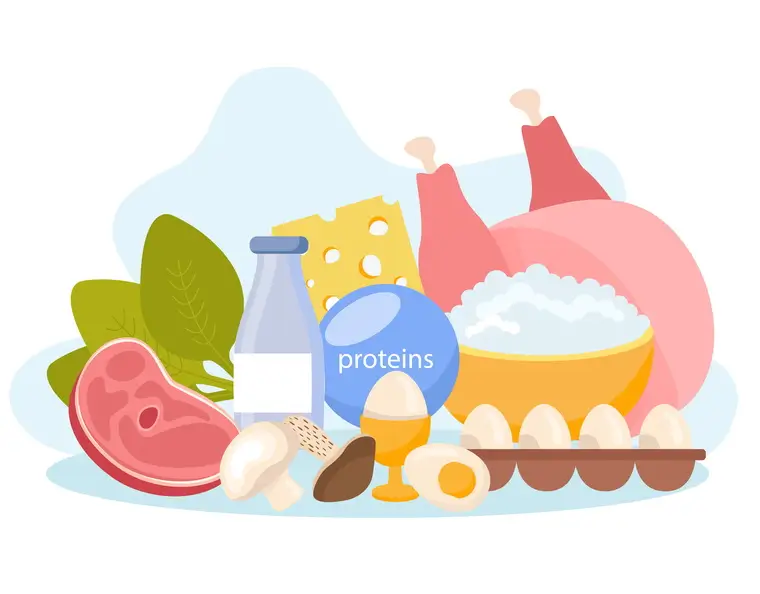 Receitas Fitness para Emagrecer: Sabores que Ajudam na Dieta