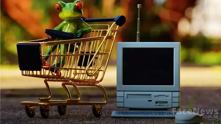 Oportunidades de Pagamento e Condições de Entrega